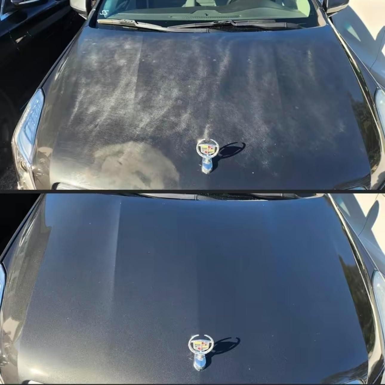Shiny Car Stuff Hand-Applied Clear Coat Buy 1 Get 1 free